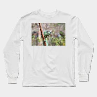 Female panther chameleon, Madagascar Long Sleeve T-Shirt